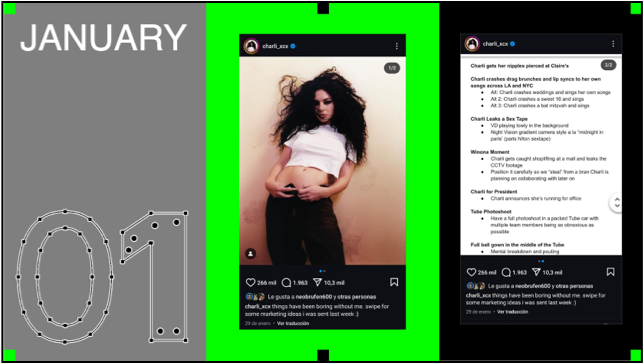 Charli XCX Case